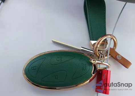 2025 Hyundai Ioniq 5 Limited z USA, uszkodzony, nr VIN 7YAKR4DA3SY028672